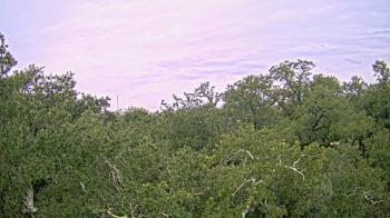 Weather camera view of Metairie Club Gardens.