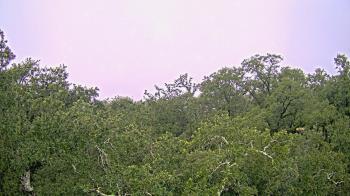 Weather camera view of Metairie Club Gardens.