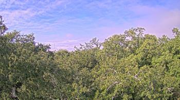 Weather camera view of Metairie Club Gardens.