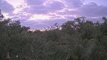 Weather camera view of Metairie Club Gardens.