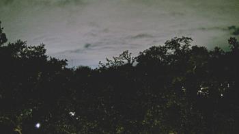 Weather camera view of Metairie Club Gardens.