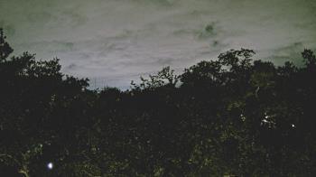 Weather camera view of Metairie Club Gardens.