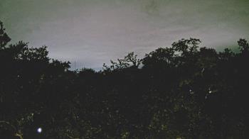 Weather camera view of Metairie Club Gardens.