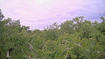 Weather camera view of Metairie Club Gardens.