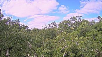 Weather camera view of Metairie Club Gardens.