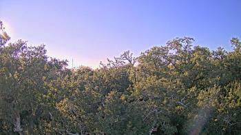 Weather camera view of Metairie Club Gardens.
