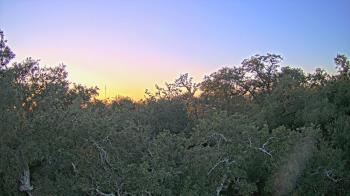 Weather camera view of Metairie Club Gardens.