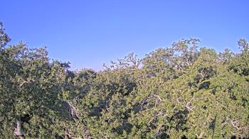 Weather camera view of Metairie Club Gardens.