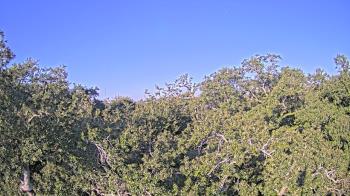 Weather camera view of Metairie Club Gardens.