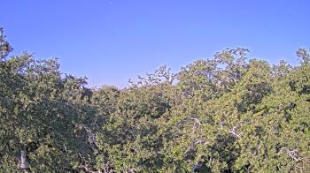 Weather camera view of Metairie Club Gardens.