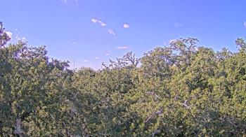 Weather camera view of Metairie Club Gardens.