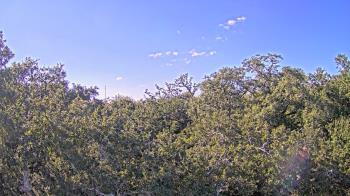 Weather camera view of Metairie Club Gardens.