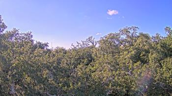 Weather camera view of Metairie Club Gardens.