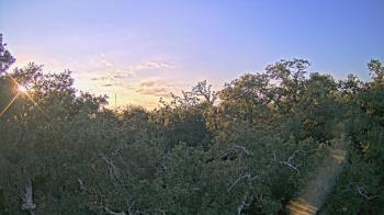 Weather camera view of Metairie Club Gardens.