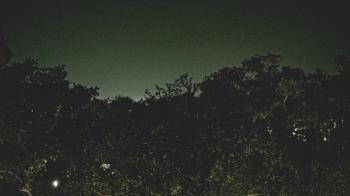 Weather camera view of Metairie Club Gardens.