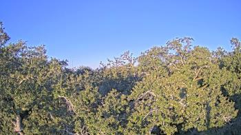 Weather camera view of Metairie Club Gardens.