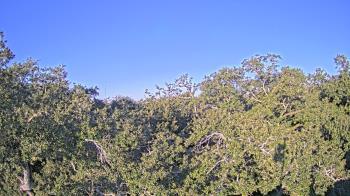 Weather camera view of Metairie Club Gardens.
