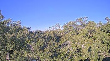 Weather camera view of Metairie Club Gardens.