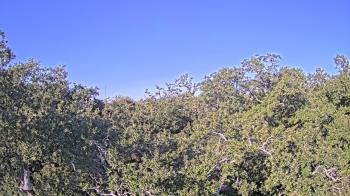 Weather camera view of Metairie Club Gardens.