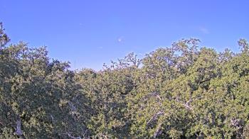 Weather camera view of Metairie Club Gardens.