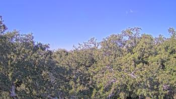 Weather camera view of Metairie Club Gardens.