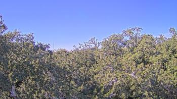 Weather camera view of Metairie Club Gardens.