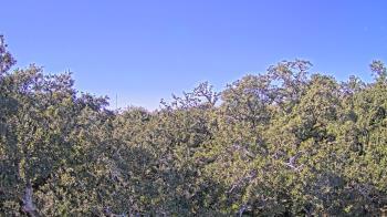 Weather camera view of Metairie Club Gardens.