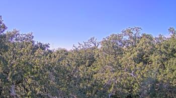 Weather camera view of Metairie Club Gardens.