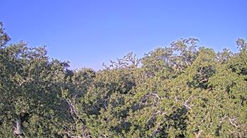 Weather camera view of Metairie Club Gardens.