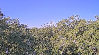 Weather camera view of Metairie Club Gardens.