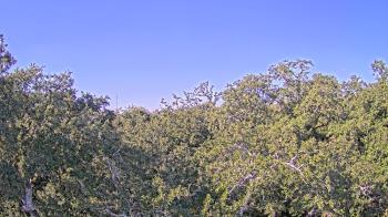 Weather camera view of Metairie Club Gardens.