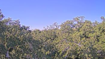 Weather camera view of Metairie Club Gardens.