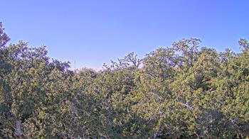 Weather camera view of Metairie Club Gardens.