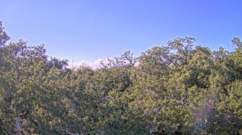 Weather camera view of Metairie Club Gardens.