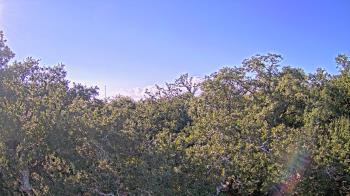 Weather camera view of Metairie Club Gardens.