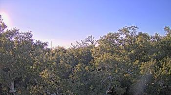 Weather camera view of Metairie Club Gardens.