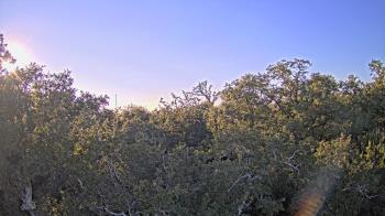 Weather camera view of Metairie Club Gardens.