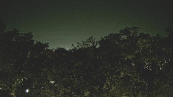 Weather camera view of Metairie Club Gardens.