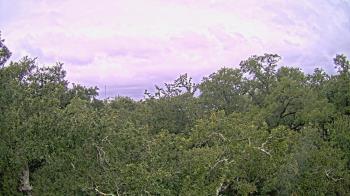 Weather camera view of Metairie Club Gardens.