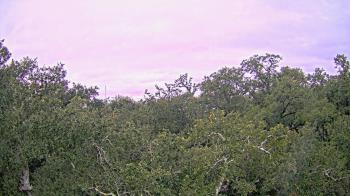 Weather camera view of Metairie Club Gardens.