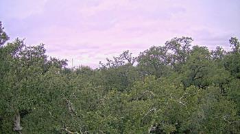 Weather camera view of Metairie Club Gardens.