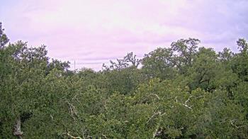 Weather camera view of Metairie Club Gardens.