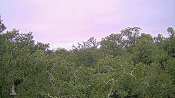 Weather camera view of Metairie Club Gardens.