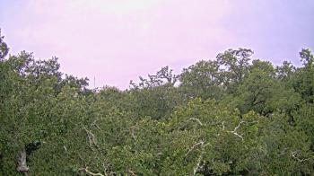 Weather camera view of Metairie Club Gardens.