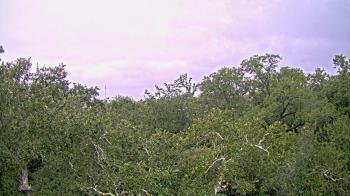 Weather camera view of Metairie Club Gardens.