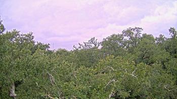 Weather camera view of Metairie Club Gardens.