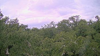 Weather camera view of Metairie Club Gardens.
