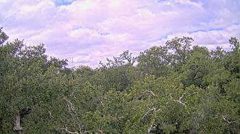 Weather camera view of Metairie Club Gardens.