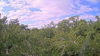 Weather camera view of Metairie Club Gardens.