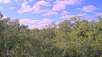 Weather camera view of Metairie Club Gardens.